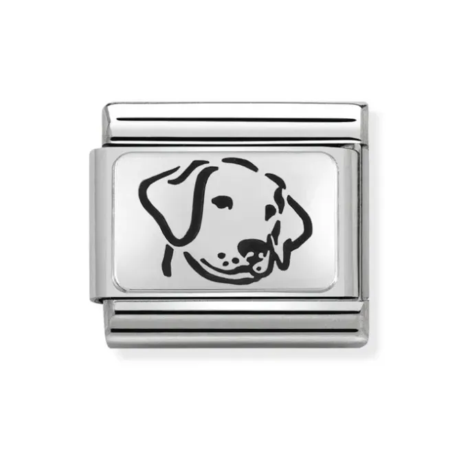 Hovedbilde Nomination Hund Links i stål