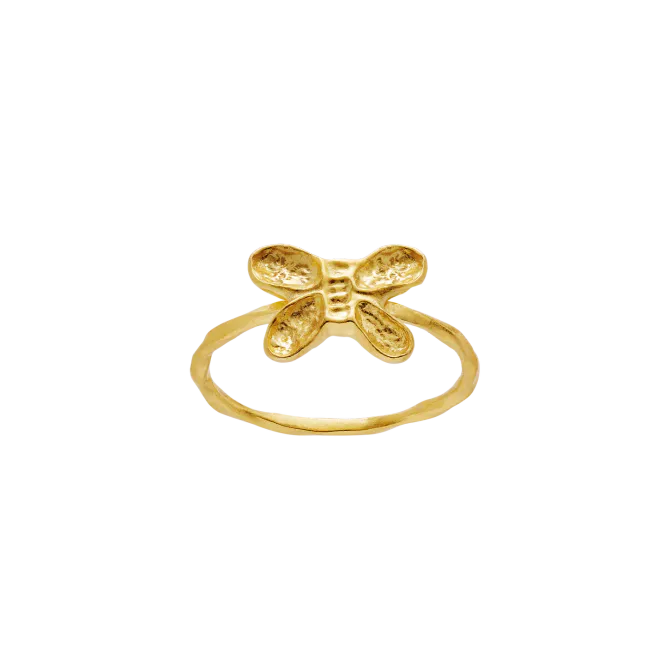 Hovedbilde Maanesten Pepe ring forgylt