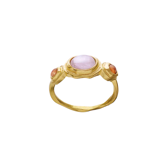 Hovedbilde Maanesten Nemo ring forgylt