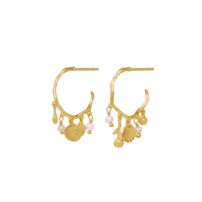 Hovedbilde Maanesten Eve øredobber ...